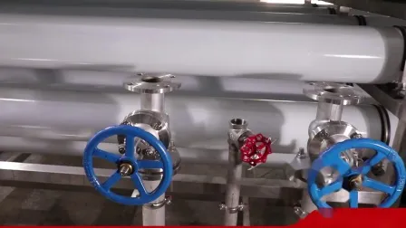 Auto Flush RO Water Treatment System for Drinking Bottle Plant Water Softener